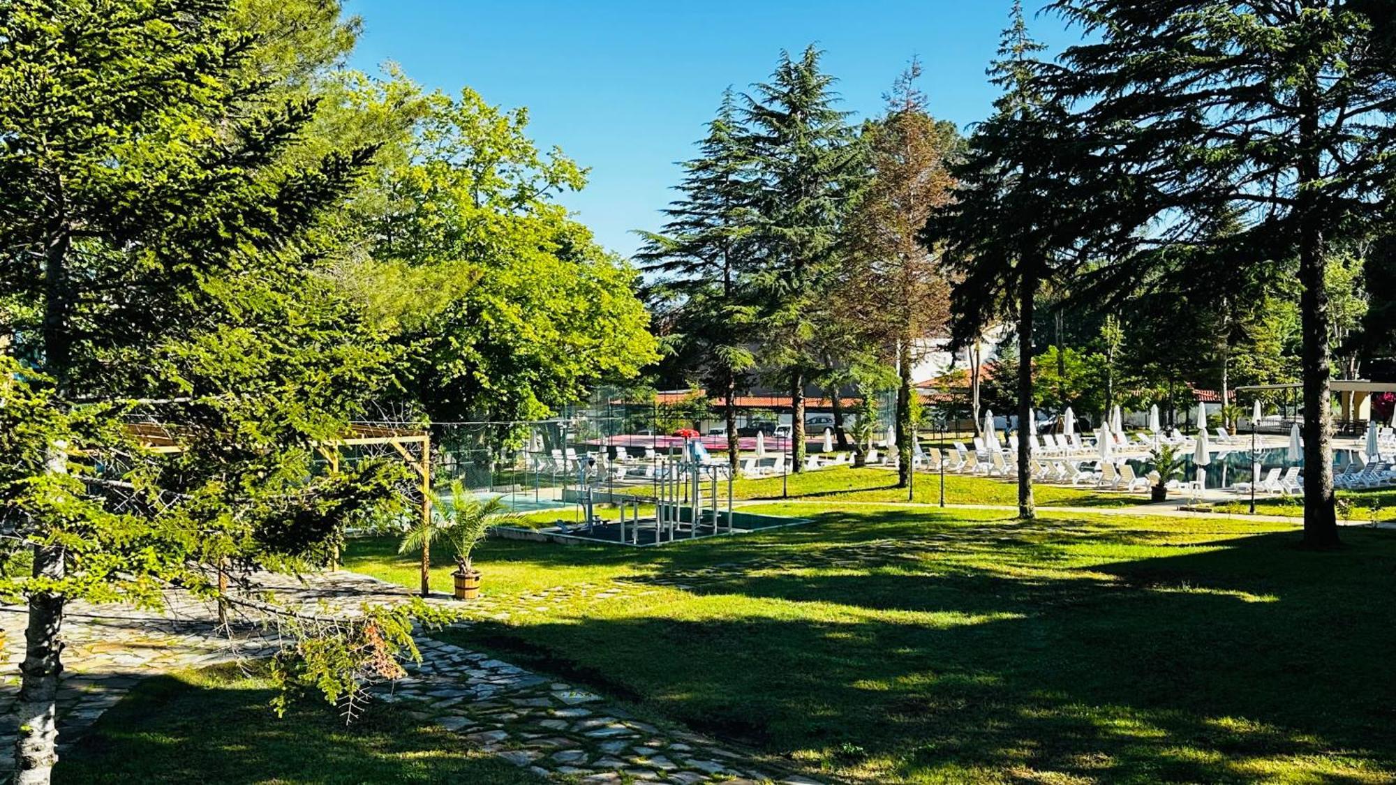Queen Nelly Park Kiten  Luaran gambar
