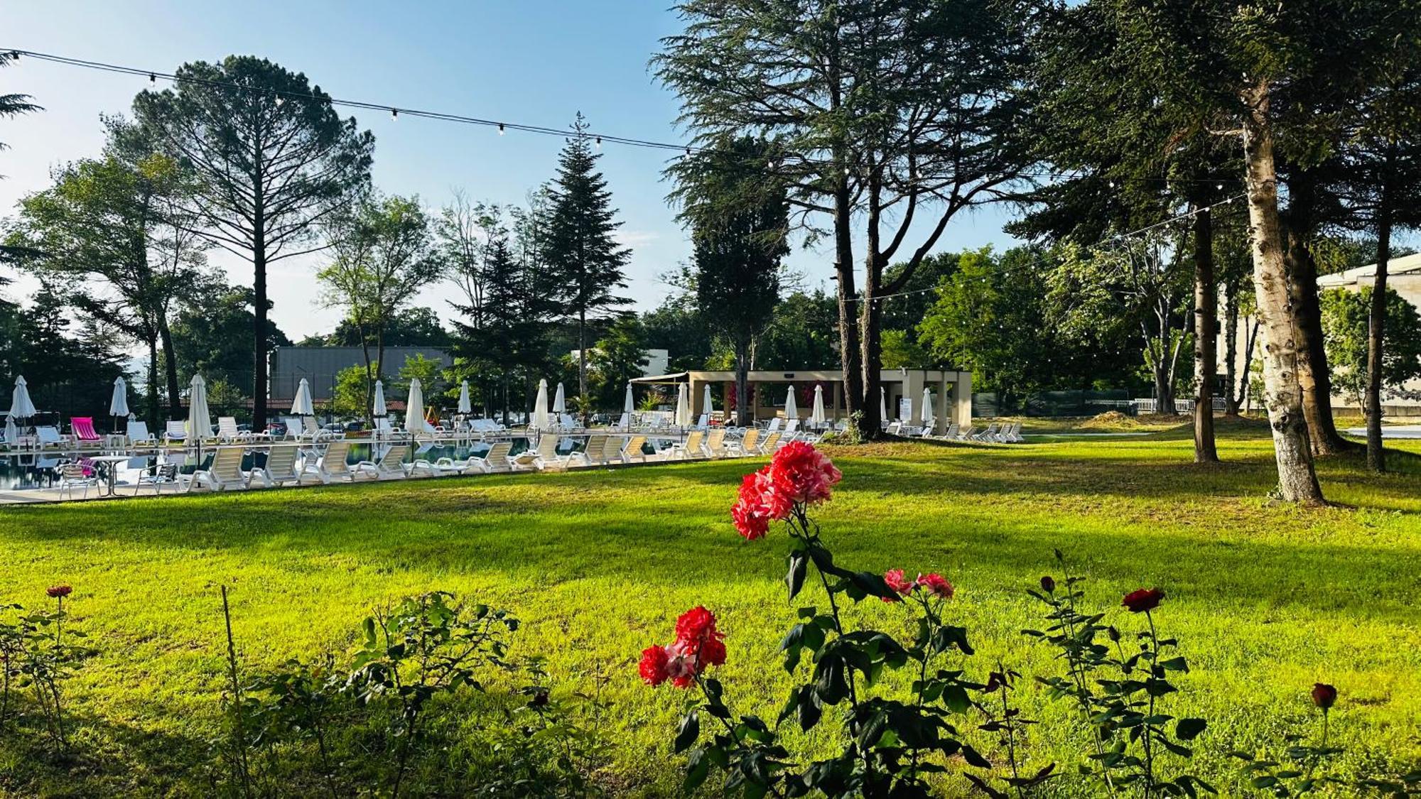 Queen Nelly Park Kiten  Luaran gambar